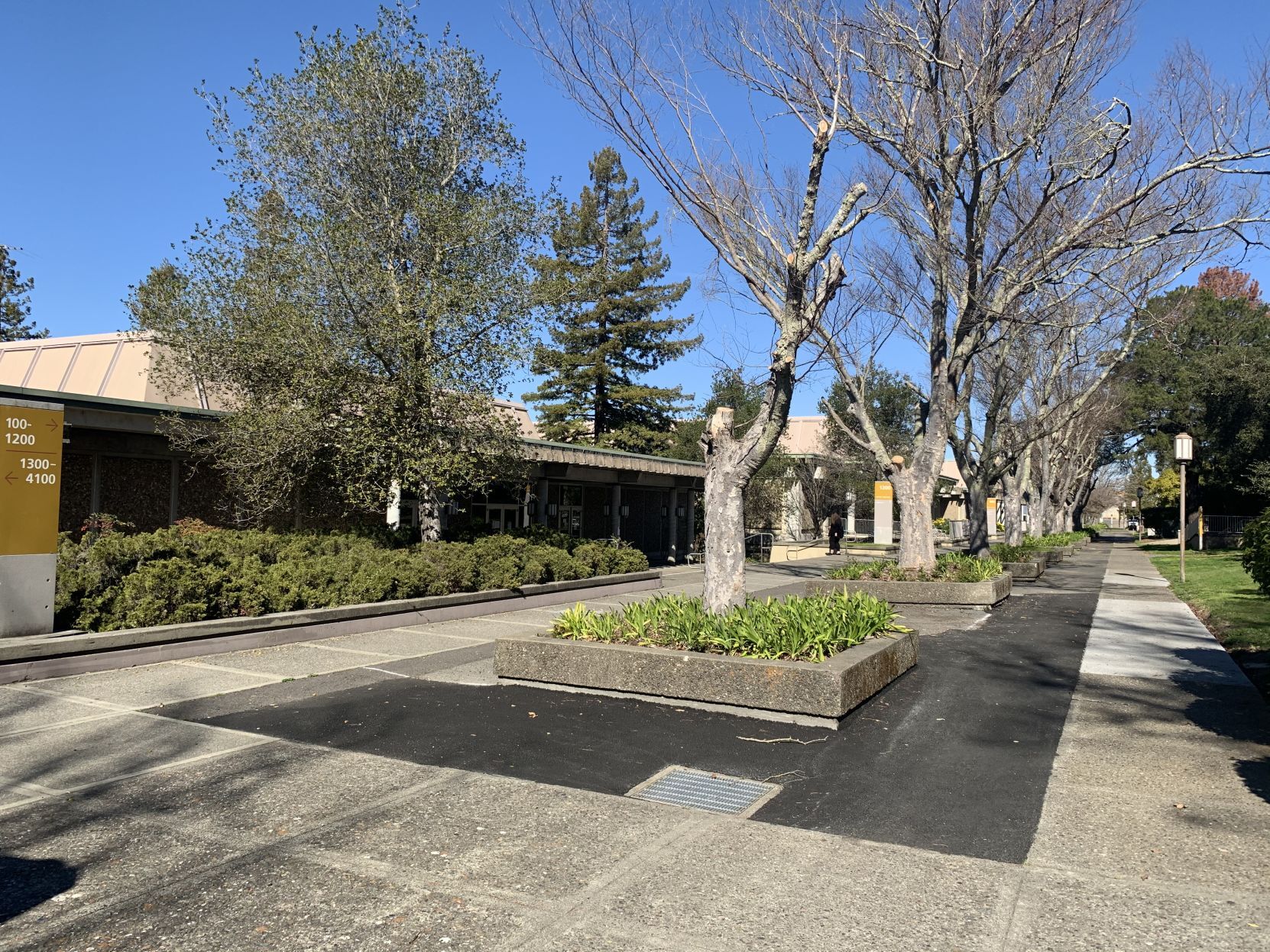 Napa Valley College during COVID-19